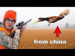 I Hunted America's Most Exotic Bird