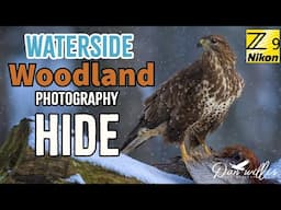 Waterside Woodland Bird Photography