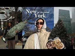 new york diaries | slow december days & holiday markets