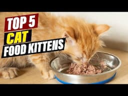 Affordable Kitten Food: Budget-Friendly Options