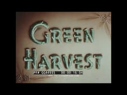 " GREEN HARVEST " 1949 WEYERHAEUSER FOREST MANAGEMENT & LUMBER PRODUCTS PROMO FILM   GG44935