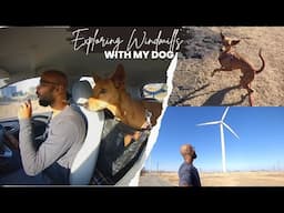 Exploring Windmills with my Dog ⛰️🐕  | Indian Dog Epic Adventure ❤️  [with English Subtitles]