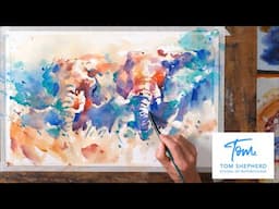 Elephant Pair - Pushing Colours! Preview with Tom Shepherd