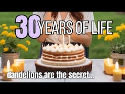 Turning 30 Years Old... | The Secret is in the Dandelions 🌼