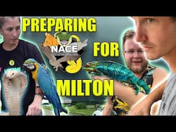 Preparing a REPTILE ZOO for HURRICANE MILTON!! ft. @WillNace