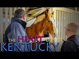 Kentucky Horse Park [4K UHD] | Horse Farm | International Museum of the Horse | Draft Horse