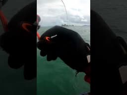 JIGGING DIKARANG DANGKAL STRIKE KERAPU SULTAN #fishing  #jigging #lightjigging