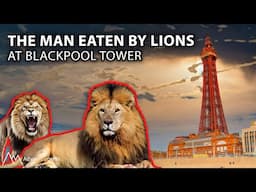 The Man Eaten By Blackpool Tower Lions - Albert & The Lion