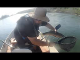 BOW RIVER FISHING - 14 hour drift