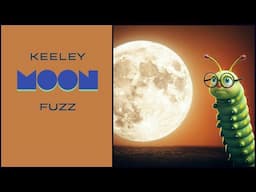 Keeley "Moon" Fuzz!!!  This thing has some POWER!  And also did I mention POWER!?!?