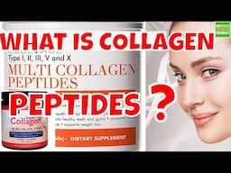 What is Collagen Peptides ?