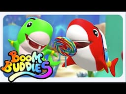 Boom Buddies Cinq Petits Requins + Plus Vidéos Apprentissage en Français