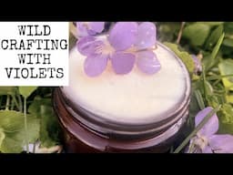 7 Things to Do with Wild Violets