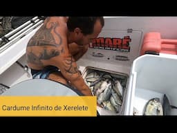 Vish TV - EP. 4 - Cardume de Xereletes no Jig Gênesis - Búzios - Guia de Pesca Leogafanha