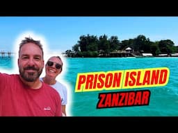 Why you  can’t miss Prison Island on your Zanzibar Travel’s