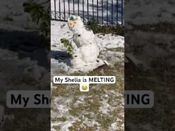 #fypシ゚ #real #relateble #subscribe #snow #snowman