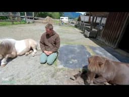 Mindfulness with horses The less we think the more connected we become