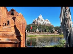 Animal Kingdom - Disney’s most underrated park - 2024