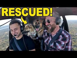 RESCUING Two Dogs….  Freedom Flight.