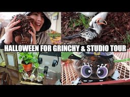 Studio Tour and HALLOWEEN FOR GRINCHY! | EMZOTIC