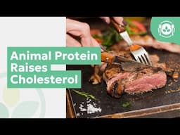 Animal Protein Raises Cholesterol