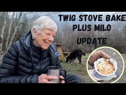 November Camping-BushBox Bake and Milo Update