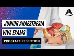 Anaesthesia for a TURP | Introductory Anaesthesia Vivas #anesthesiology #anesthesia #exampreparation