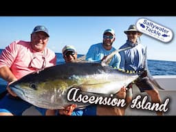 Topwater Yellowfin Tuna in Ascension Island