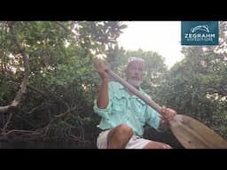 Exploring Florida's Mangroves with Jack Grove