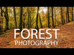 Forest Photography in Scotland - Tips and Techniques