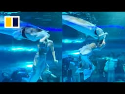 Fish attacks ‘mermaid’ at aquarium in China