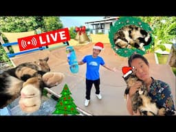 [LIVE] Christmas Trick Requests & Hangout in The Backyard Skatepark!