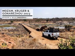 Mozambique, Kruger and Gonarezhou 2023 - E4: Wild Zimbabwe