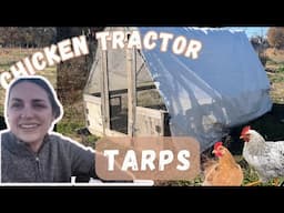 Don't Make Our Mistake! Tarp Comparison for Chicken Tractors