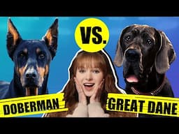 DOERBMAN VS GREAT DANE