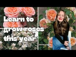 Roses 101: A Beginner's Guide to Getting Started with Growing Roses | Becoming a Rosarian Part 1