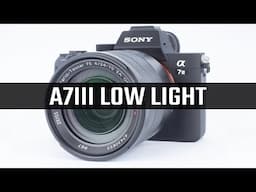 Sony A7III Best Low Light Settings