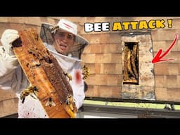 I WAS ATTACKED By 50,000 LIVE BEES ! (we got stung)