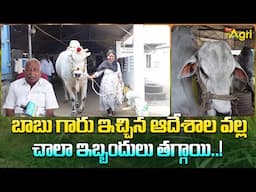 Yella Sambasiva Rao Interview | Lingayapalem Bulls | బాబు గారు ఇచ్చిన ఆదేశాల వల్ల చాలా... Tone Agri