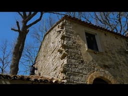 Restoring great grandparents' farmhouse in Italy : challenging DIY tree removal