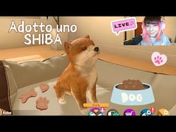 Ho adottato un cane Shiba!