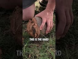 Can Marc get his first Coconut OPEN?  #shorts #bushcraft #coconut  #campingadventures