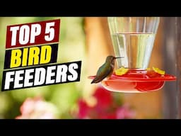 Top-Rated Hummingbird Feeders: A Review