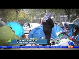 El @maestroVigil habla de los refugiados, crisis mundial. Matutino Express FOROtv