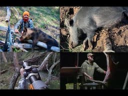 State Forest Wild Pig Mission | Local Fallow Hunt