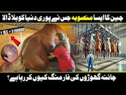 Inside The Horse Farm: Secrets Of The Billion Dollar Horse Meat Industry In Urdu Hindi