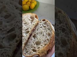 Slicing delicious bread