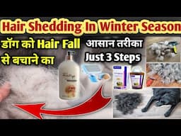 Hairfall In Dogs || In Winter Season || Hairfall Solution For Dogs || Anti - Hairfall Dog Shampoo