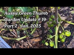 Nathan's Garden Update #19 Pt 2 - Tomato Trellis, Hydroponic Tower, and Garden Bed Progress