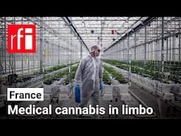 France's medical cannabis experiment ends, leaving hundreds of patients in limbo • RFI English